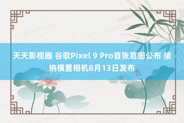 天天影视圈 谷歌Pixel 9 Pro首张官图公布 接纳横置相机8月13日发布