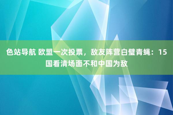 色站导航 欧盟一次投票，敌友阵营白璧青蝇：15国看清场面不和中国为敌