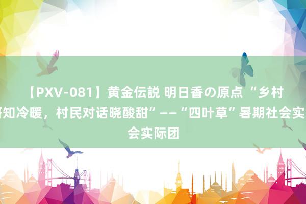 【PXV-081】黄金伝説 明日香の原点 “乡村调研知冷暖，村民对话晓酸甜”——“四叶草”暑期社会实际团