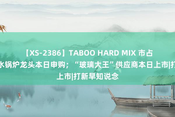 【XS-2386】TABOO HARD MIX 市占率第一，沸水锅炉龙头本日申购；“玻璃大王”供应商本日上市|打新早知说念