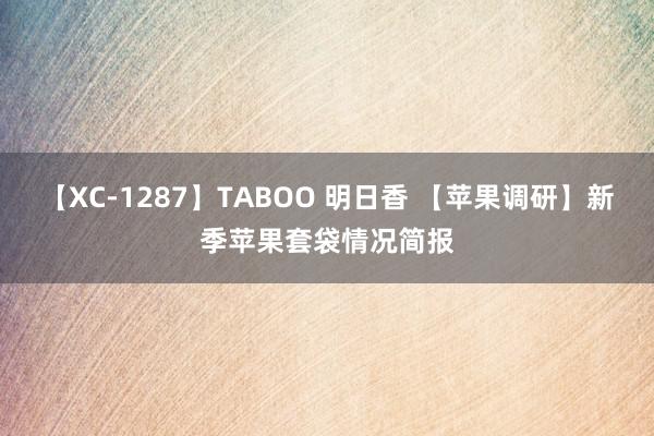 【XC-1287】TABOO 明日香 【苹果调研】新季苹果套袋情况简报