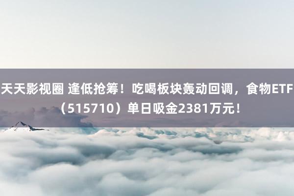 天天影视圈 逢低抢筹！吃喝板块轰动回调，食物ETF（515710）单日吸金2381万元！