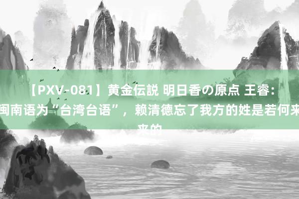 【PXV-081】黄金伝説 明日香の原点 王睿：改闽南语为“台湾台语”，赖清德忘了我方的姓是若何来的