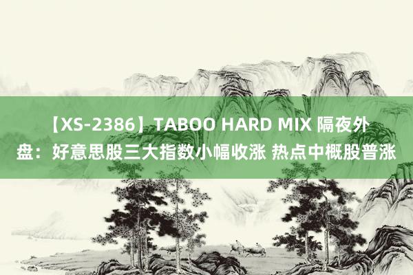 【XS-2386】TABOO HARD MIX 隔夜外盘：好意思股三大指数小幅收涨 热点中概股普涨