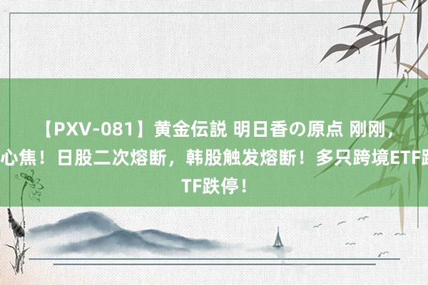 【PXV-081】黄金伝説 明日香の原点 刚刚，大家心焦！日股二次熔断，韩股触发熔断！多只跨境ETF跌停！