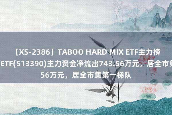 【XS-2386】TABOO HARD MIX ETF主力榜 | 纳指100ETF(513390)主力资金净流出743.56万元，居全市集第一梯队