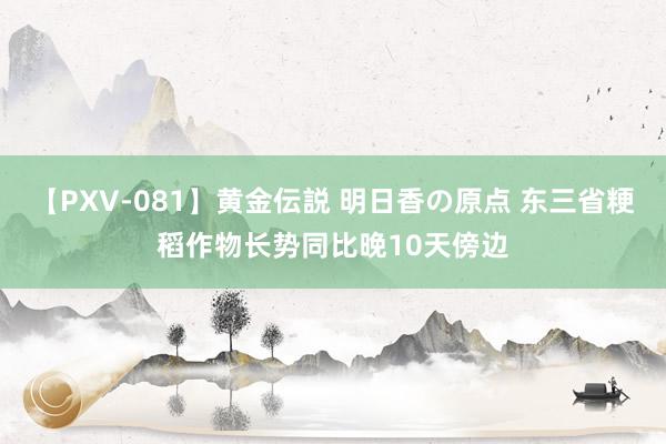 【PXV-081】黄金伝説 明日香の原点 东三省粳稻作物长势同比晚10天傍边