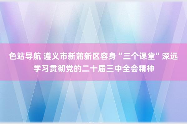 色站导航 遵义市新蒲新区容身“三个课堂”深远学习贯彻党的二十届三中全会精神