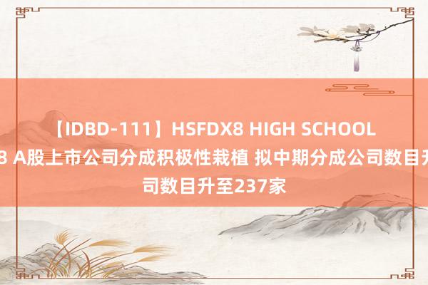 【IDBD-111】HSFDX8 HIGH SCHOOL FUCK DX8 A股上市公司分成积极性栽植 拟中期分成公司数目升至237家