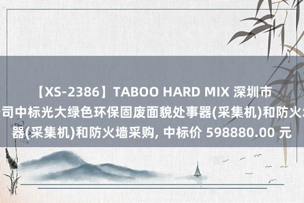 【XS-2386】TABOO HARD MIX 深圳市念念凯数据安全时候有限公司中标光大绿色环保固废面貌处事器(采集机)和防火墙采购, 中标价 598880.00 元