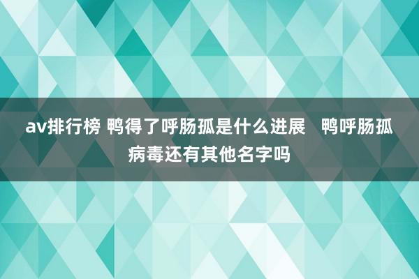 av排行榜 鸭得了呼肠孤是什么进展   鸭呼肠孤病毒还有其他名字吗