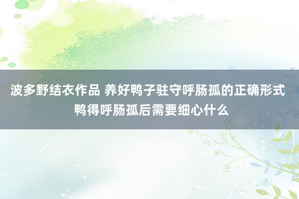 波多野结衣作品 养好鸭子驻守呼肠孤的正确形式  鸭得呼肠孤后需要细心什么