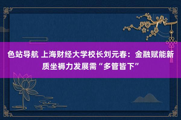 色站导航 上海财经大学校长刘元春：金融赋能新质坐褥力发展需“多管皆下”