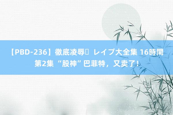 【PBD-236】徹底凌辱・レイプ大全集 16時間 第2集 “股神”巴菲特，又卖了！