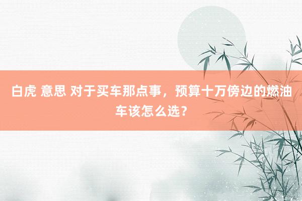 白虎 意思 对于买车那点事，预算十万傍边的燃油车该怎么选？