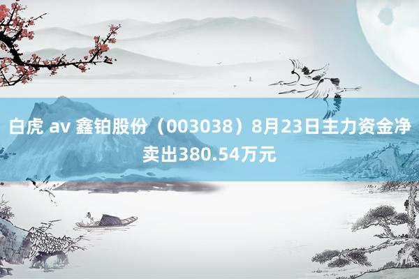 白虎 av 鑫铂股份（003038）8月23日主力资金净卖出380.54万元