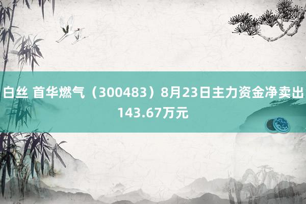 白丝 首华燃气（300483）8月23日主力资金净卖出143.67万元