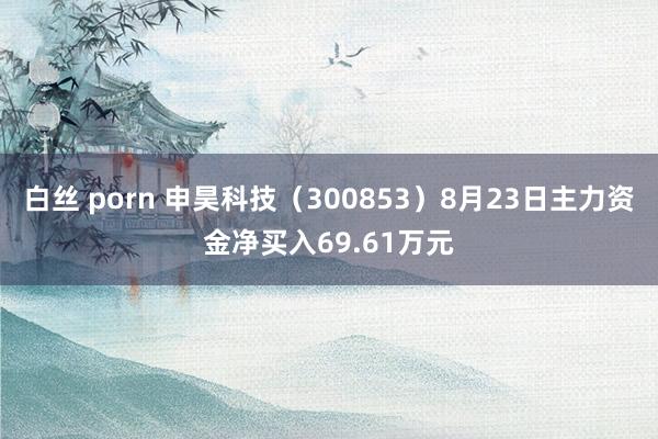 白丝 porn 申昊科技（300853）8月23日主力资金净买入69.61万元