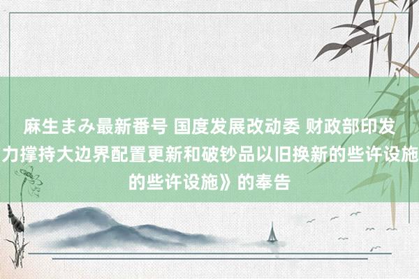 麻生まみ最新番号 国度发展改动委 财政部印发《对于加力撑持大边界配置更新和破钞品以旧换新的些许设施》的奉告